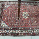 959 2510 ORIENTAL RUG